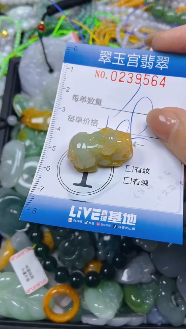 颈饰未镶嵌翡翠闪购C0239564