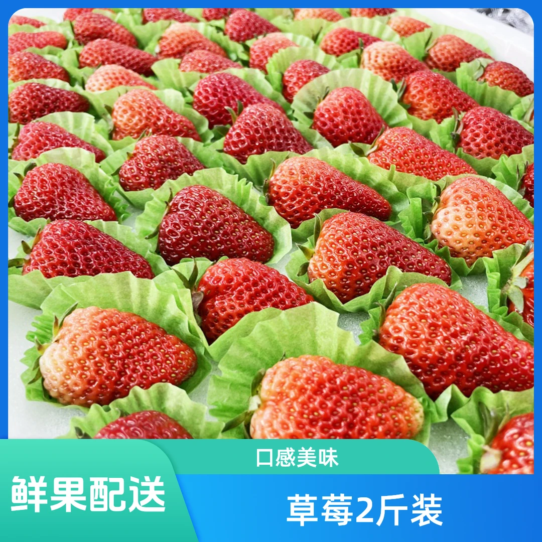 【鲜果配送】久久草莓小果 约2斤装