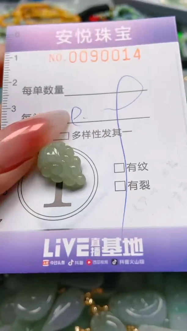 【闪购商品】翡翠颈饰未镶嵌闪购0090014