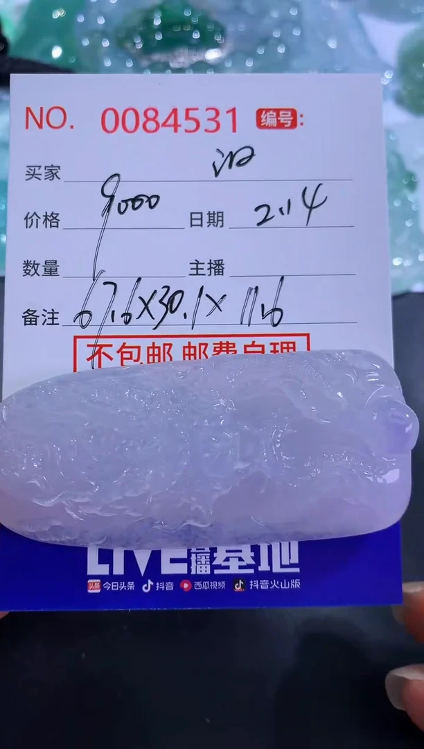 【闪购商品】翡翠颈饰未镶嵌汨