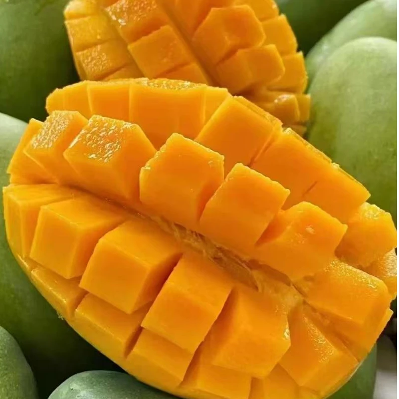 新鲜现摘攀枝花凯特芒果当季热带水果整箱特产树熟W999