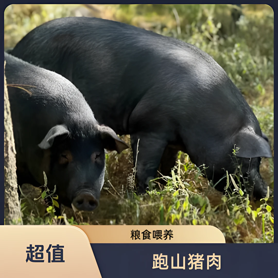 纯粮食喂养两年零添加跑山猪肉