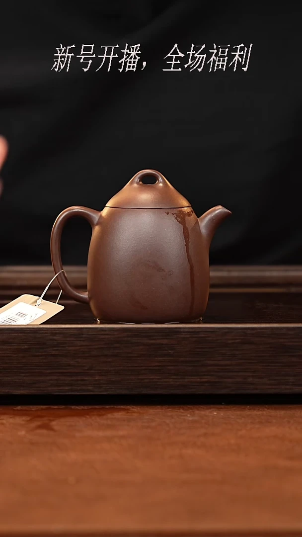 茶壶紫砂21y19秦权