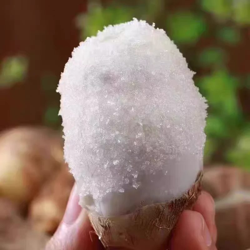 山东奶香芋头特大球软糯拉丝农家自种口口香