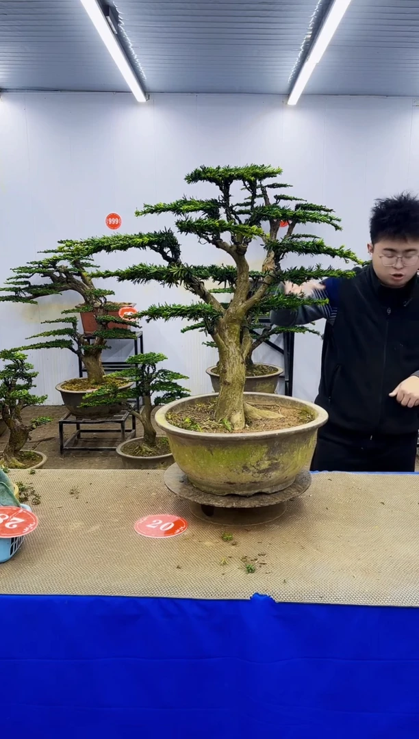 完全开放一物一拍，所见即所得