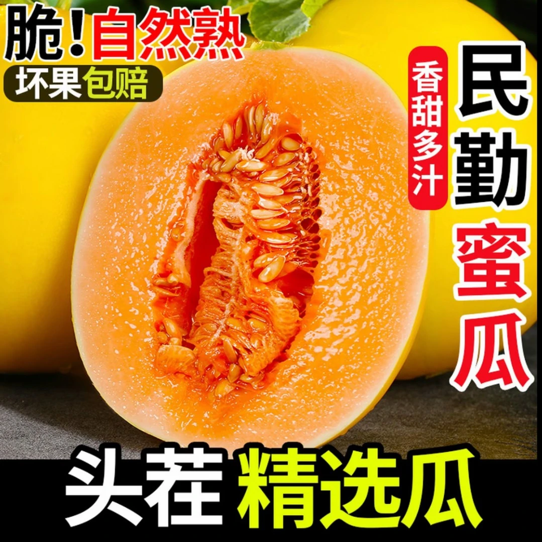 【2-4果王】正宗民勤蜜瓜香甜多汁甘肃民勤新鲜当季水果