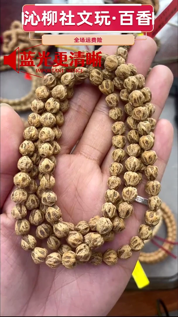 手串柏香籽/百香籽红芽尸陀林