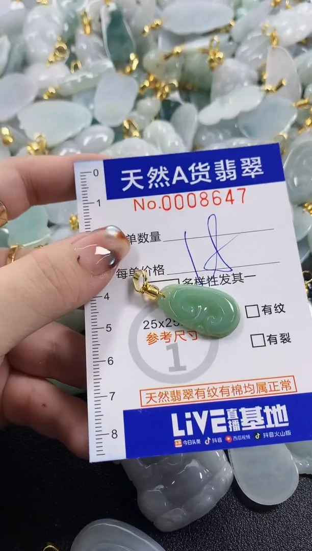 颈饰未镶嵌翡翠天然A货翡翠