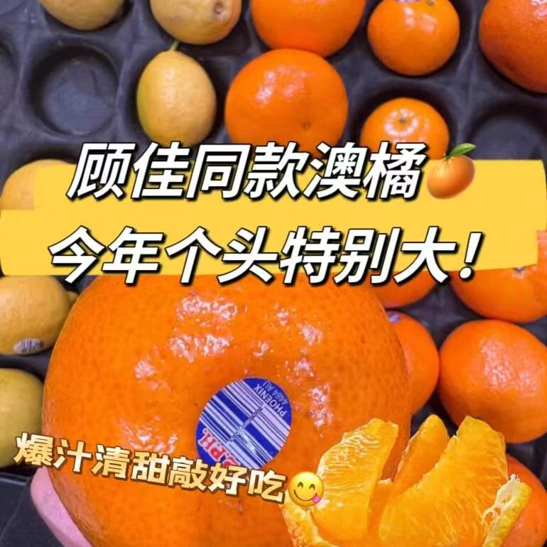 【精美礼盒装】顾佳同款2PH澳橘 4.8-5.2斤辽宁省