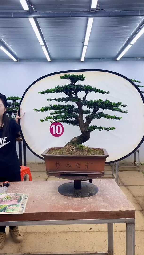 无花朵用****9一物一拍，所见即所得