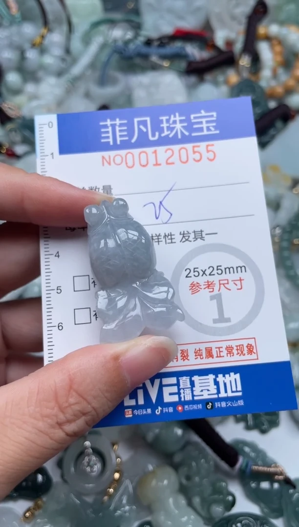 颈饰未镶嵌翡翠12055