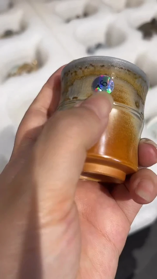 杯76号容量40-60ML