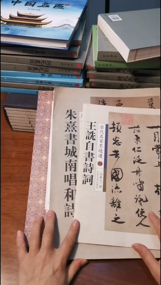 微瑕 朱熹书城南  王申自书诗词