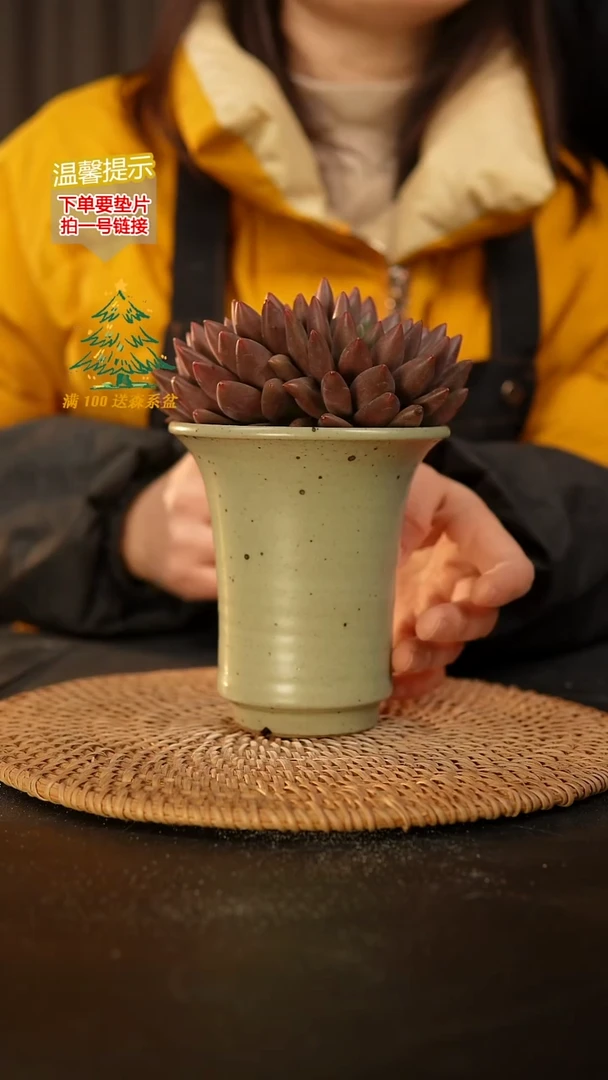 瓷片 外口径约10  外高约11