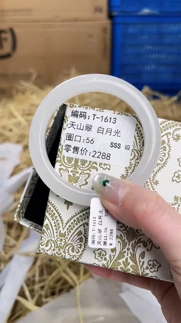未镶嵌手镯石英质玉T-1613