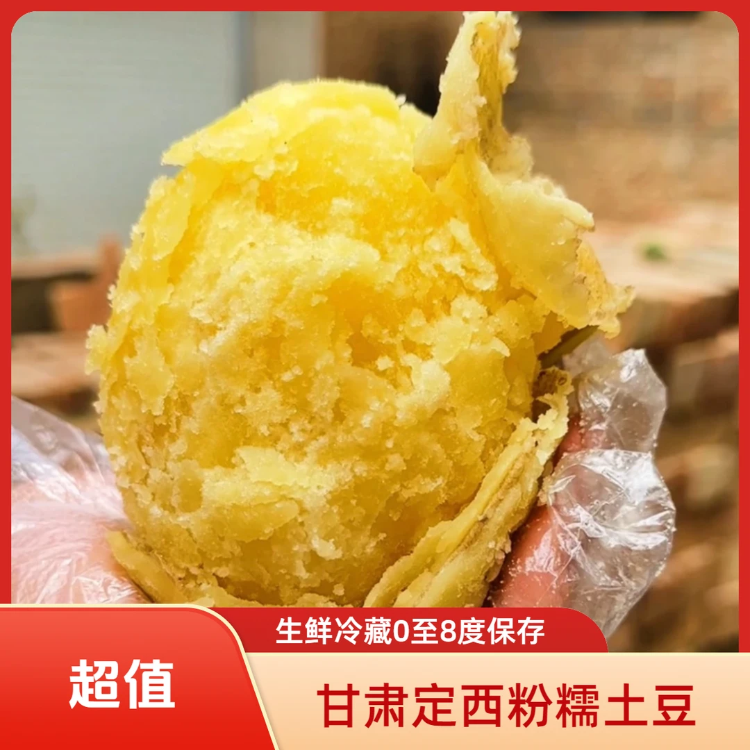 2025甘肃定西新鲜黄皮黄心土豆沙土地种植粉糯干粉干面土豆马铃薯