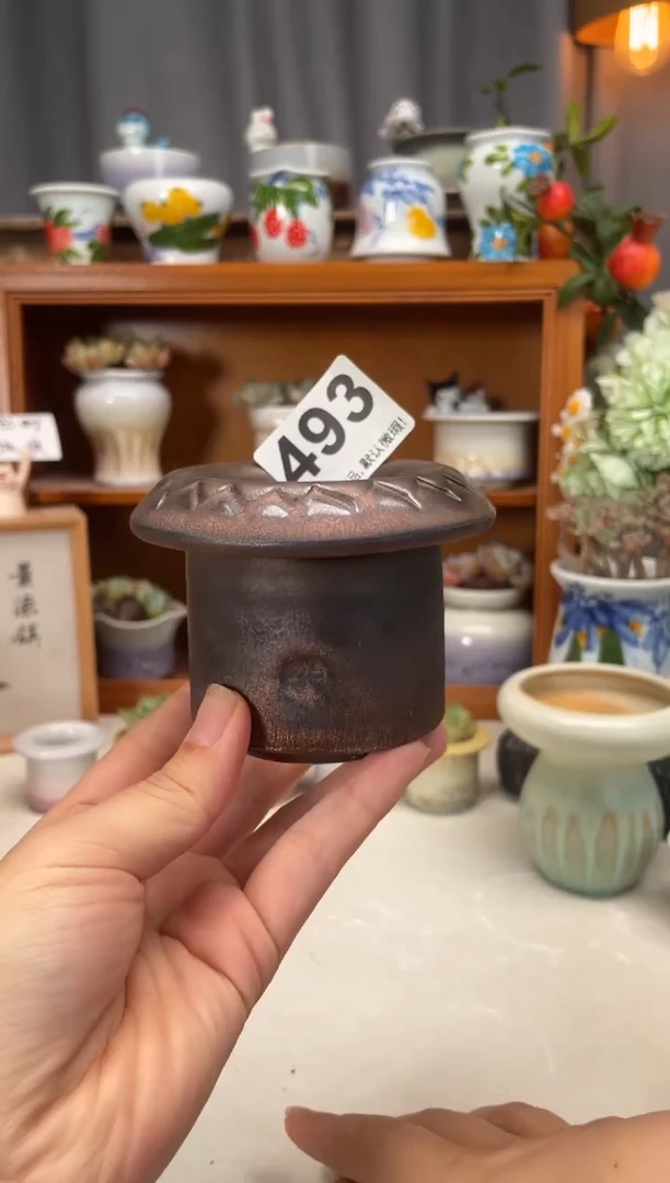 瓷片493知木小芳直播编号