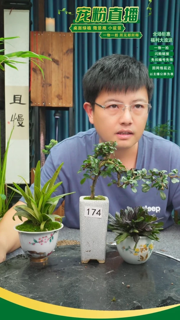 无花朵J***Z苔藓微景观174号