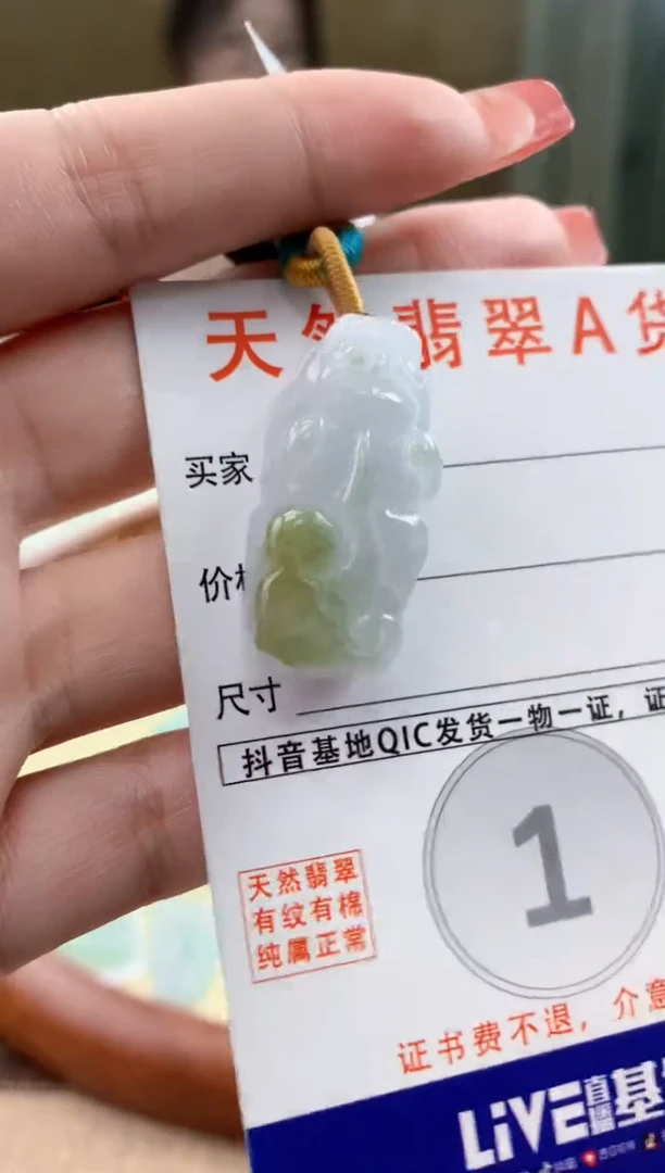 颈饰未镶嵌翡翠 天然A货翡翠挂件