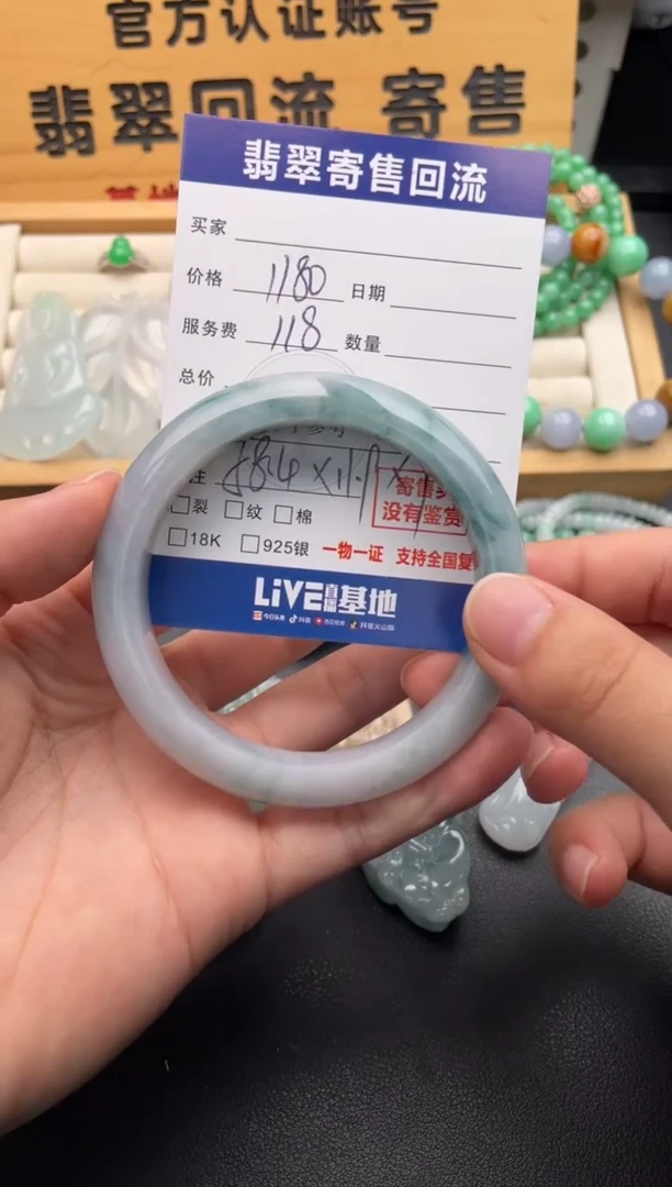 未镶嵌手镯翡翠10146590