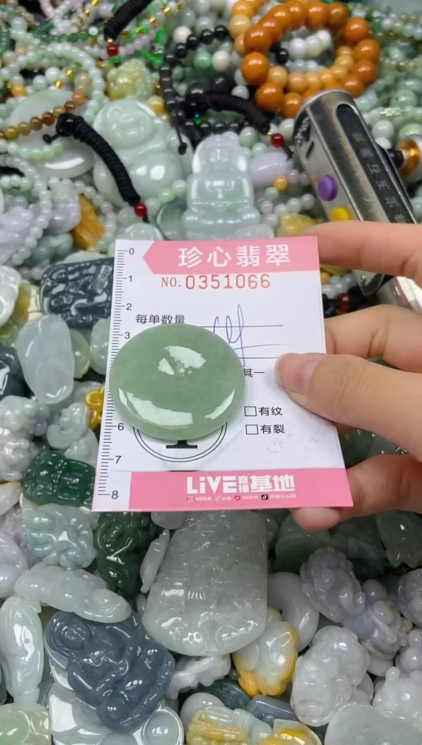 颈饰未镶嵌翡翠闪购0351066