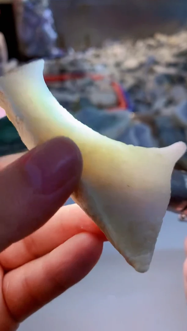 【闪购商品】翡翠颈饰未镶嵌0东0翡翠珠宝598
