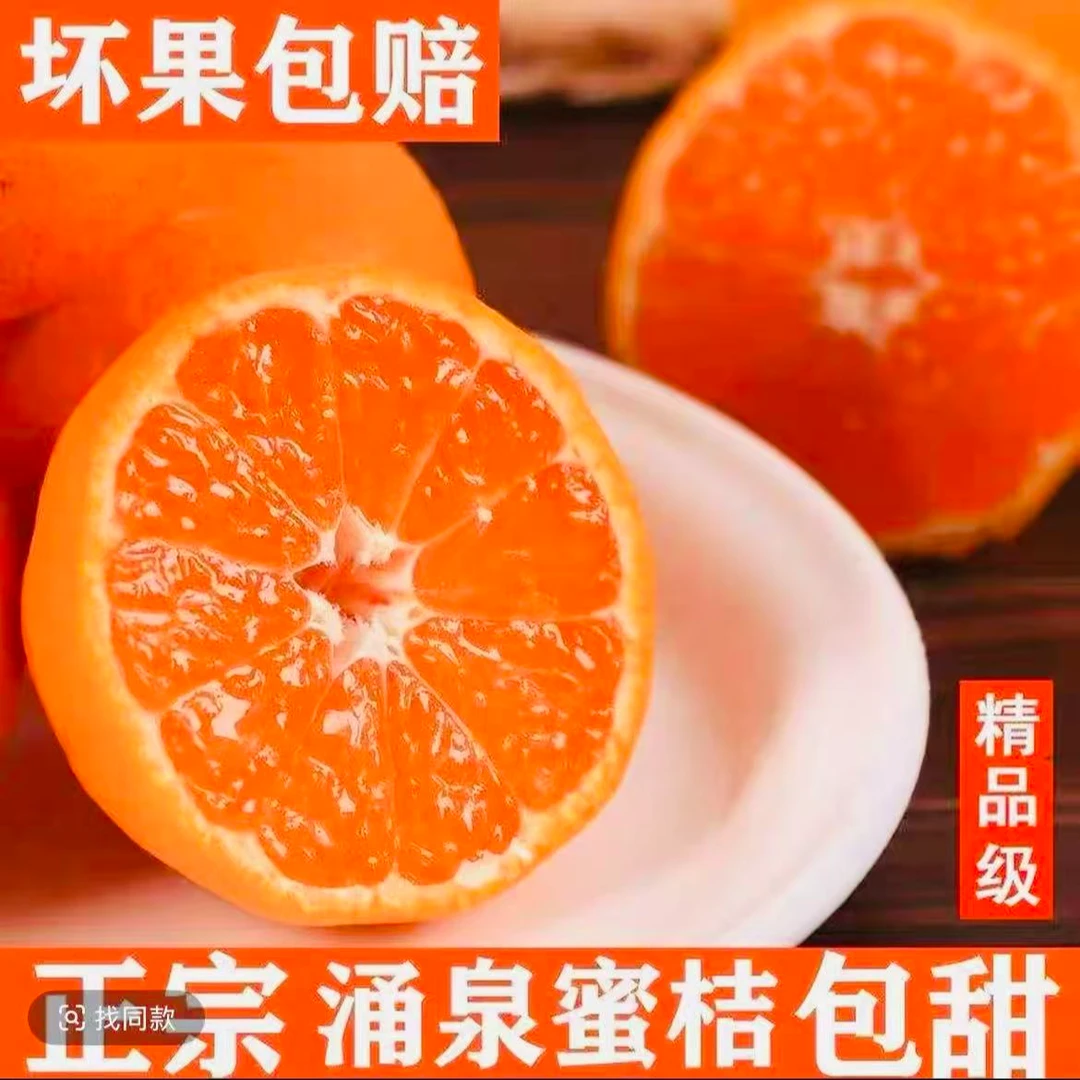 正宗临海涌泉蜜桔高山老树果