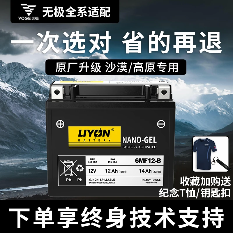力扬电池无极150/250GT/300/500RR/CU525/650AC/DSXADV摩托车电瓶