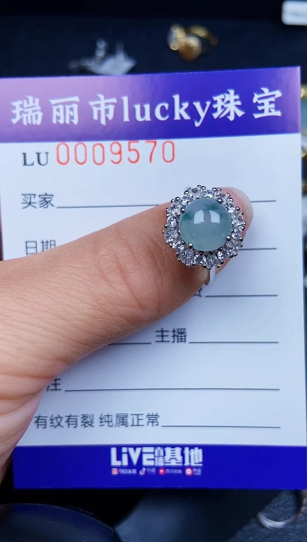 翡翠银S925镶嵌颈饰9570