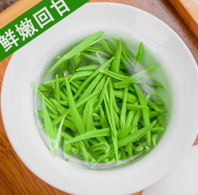 25年新茶绿茶高山绿茶雀舌龙井毛尖茶叶装明前春茶买半斤送半斤XC