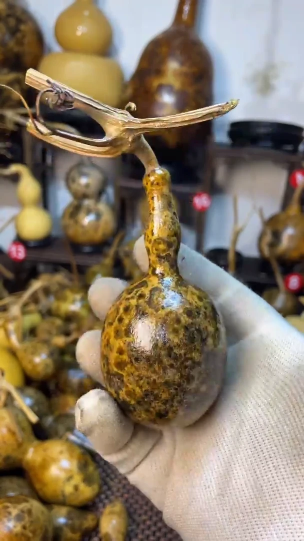 【闪购商品】葫芦葫芦葫芦葫芦