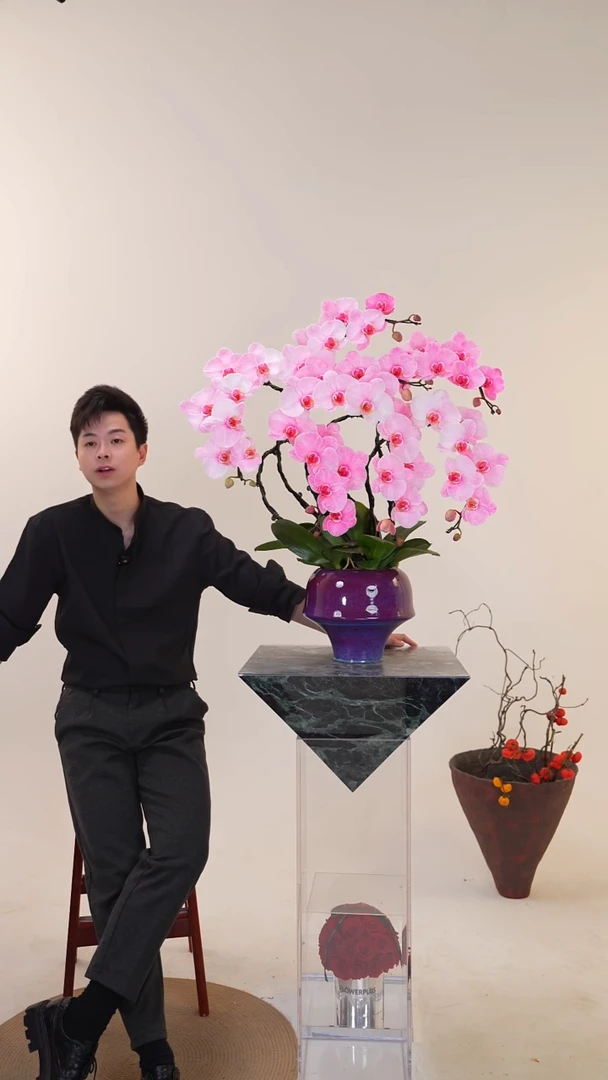 全部花朵015一物一拍蝴蝶兰盆景