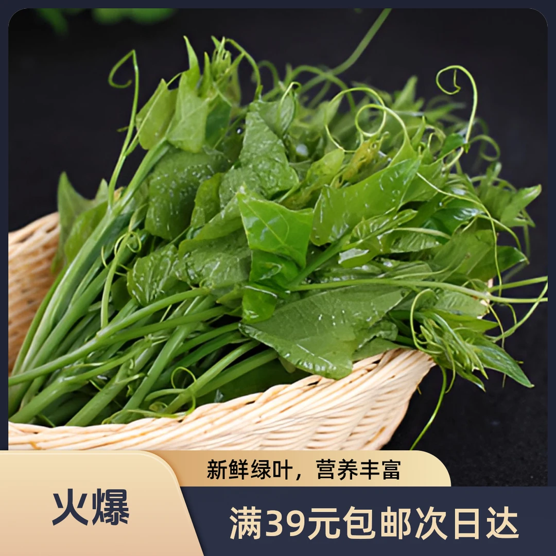 【甄选】丝瓜尖300g次日达丝瓜尖