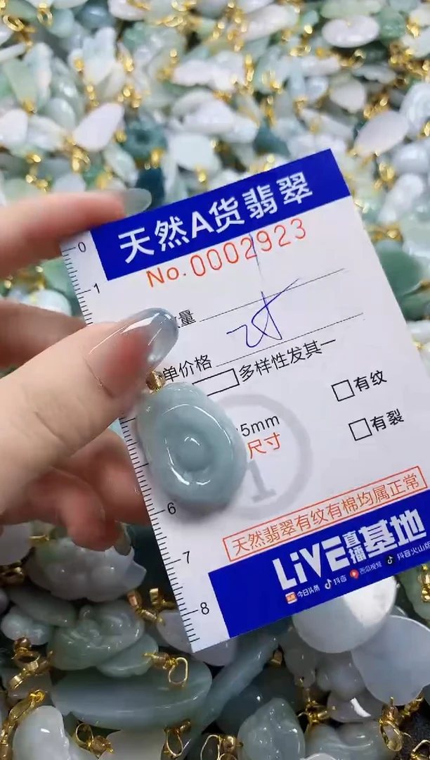 颈饰未镶嵌翡翠纯天然a货翡翠