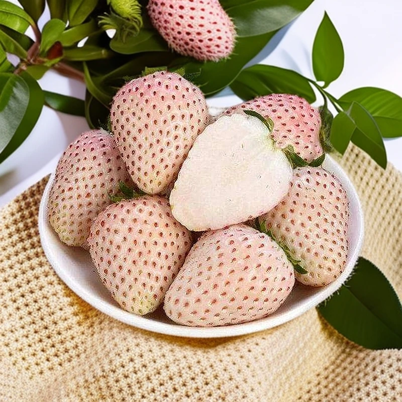 【农场自营】杭州白草莓500g 草莓味 盒装