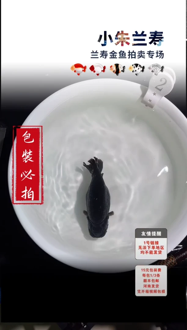金鱼包装必拍未拍顺丰到付2号
