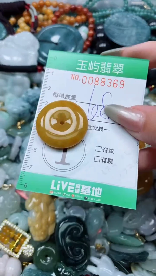 【闪购商品】翡翠颈饰未镶嵌闪购0088369