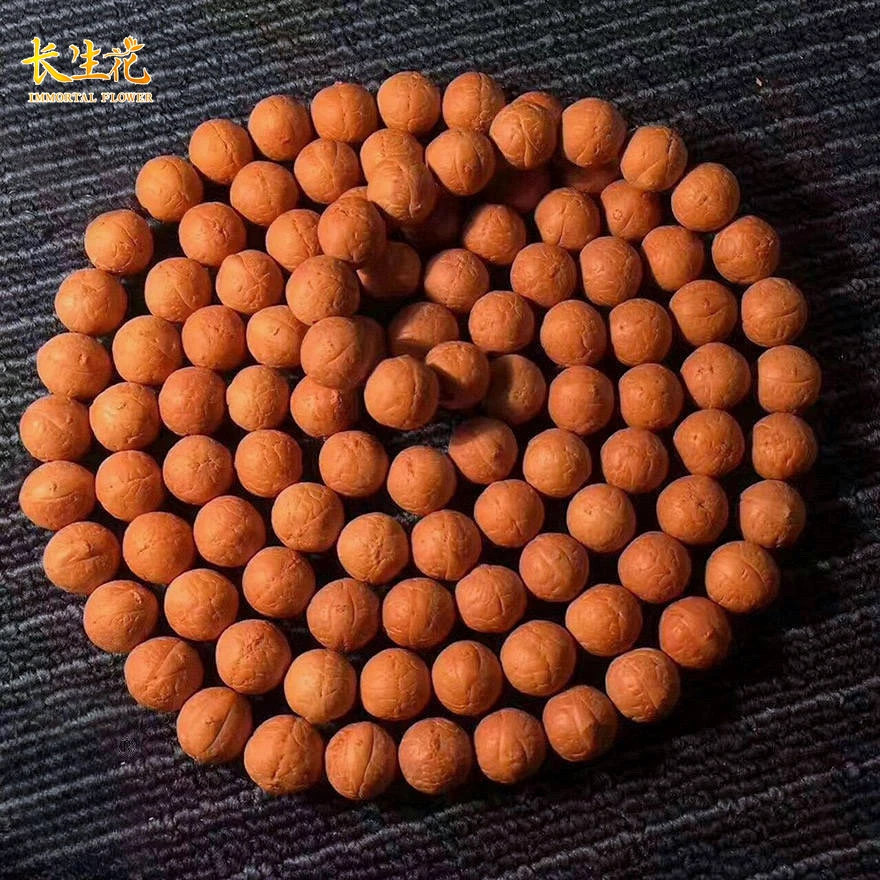 IMMORTAL FLOWERS/长生花原生态尼泊尔凤眼菩提手串108颗念珠脖挂