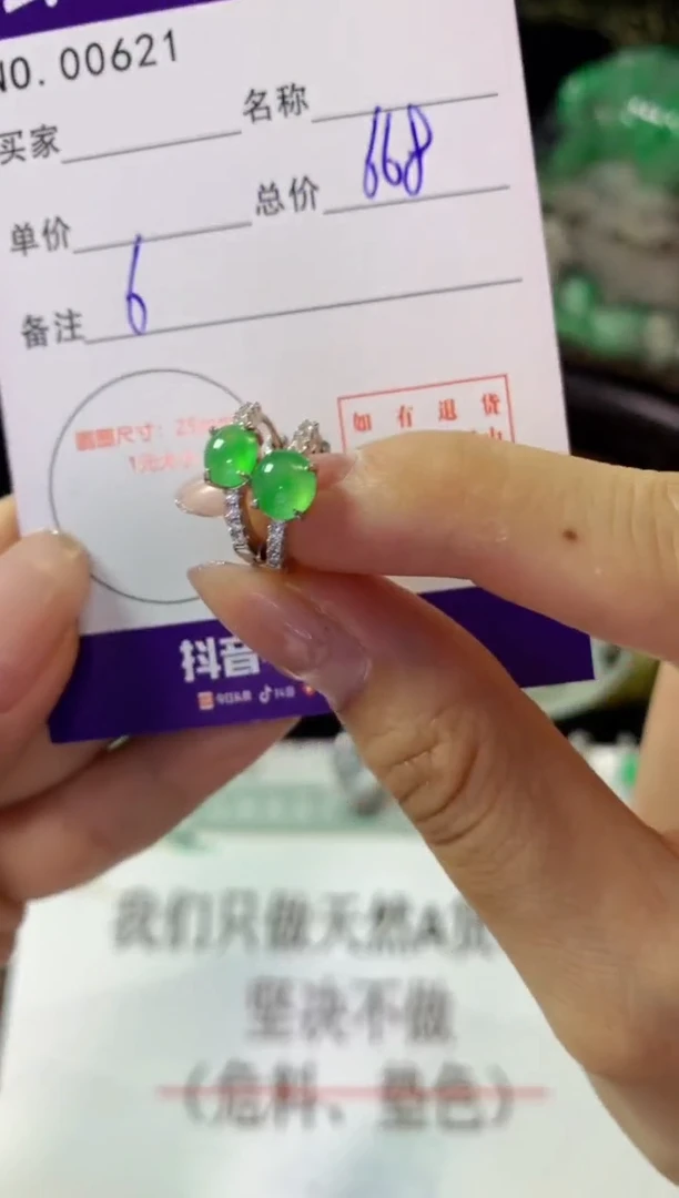 银S925镶嵌翡翠耳饰翡翠