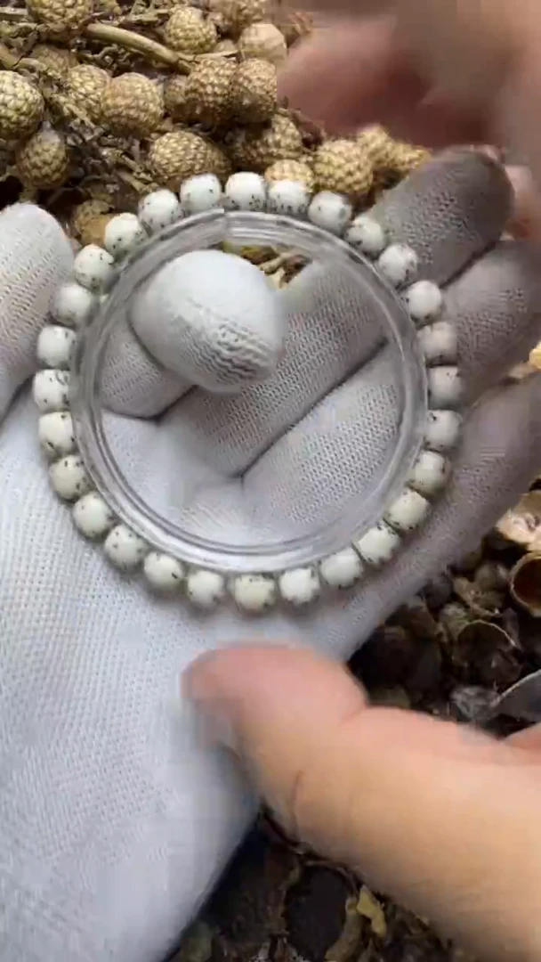 吊坠星月菩提河豚 单圈