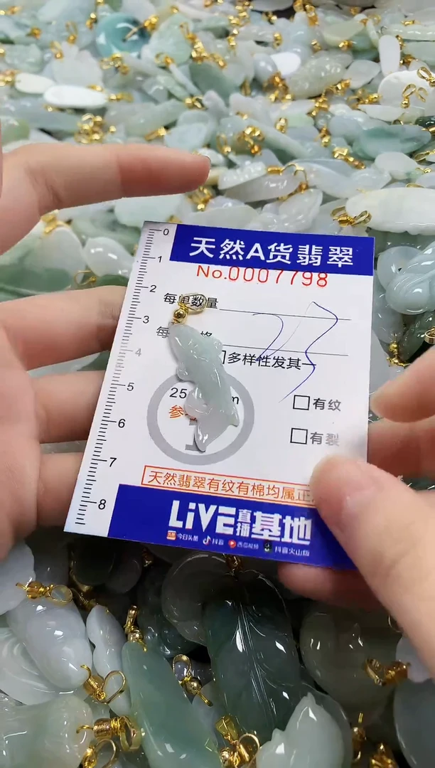 颈饰未镶嵌翡翠天然a货翡翠