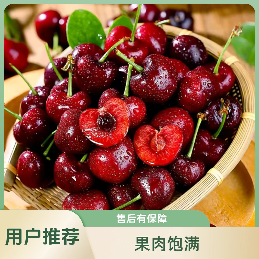 智利空运新鲜桑提娜车厘子2JD-4JD包邮内附果径卡800g【WYSYZ】