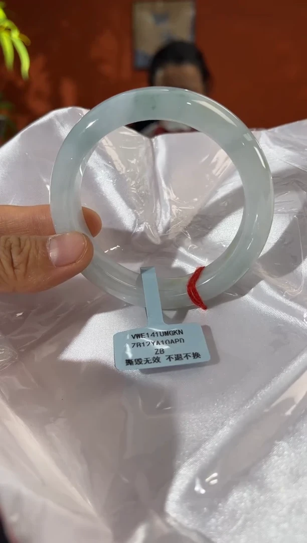 未镶嵌手镯翡翠6