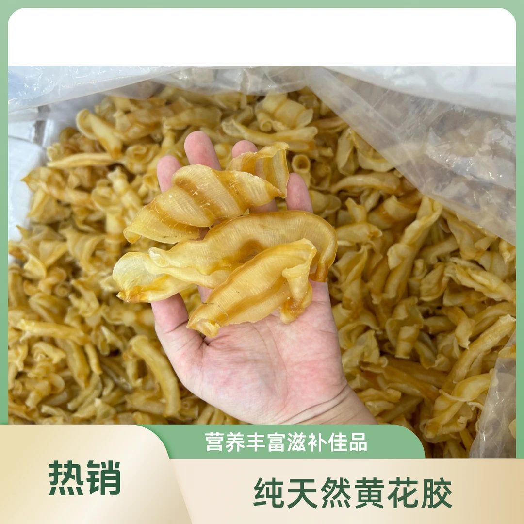 35头老凤尾红鳘胶 孕产滋补 0腥味