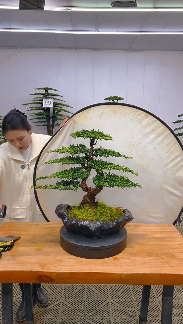 无花朵一物一拍一物一拍
