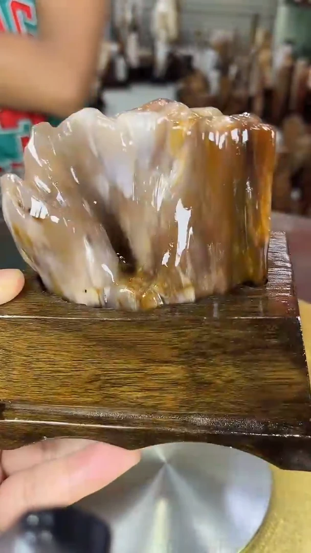 硅化玉珠宝奇石未镶嵌缅甸天然树化玉摆件