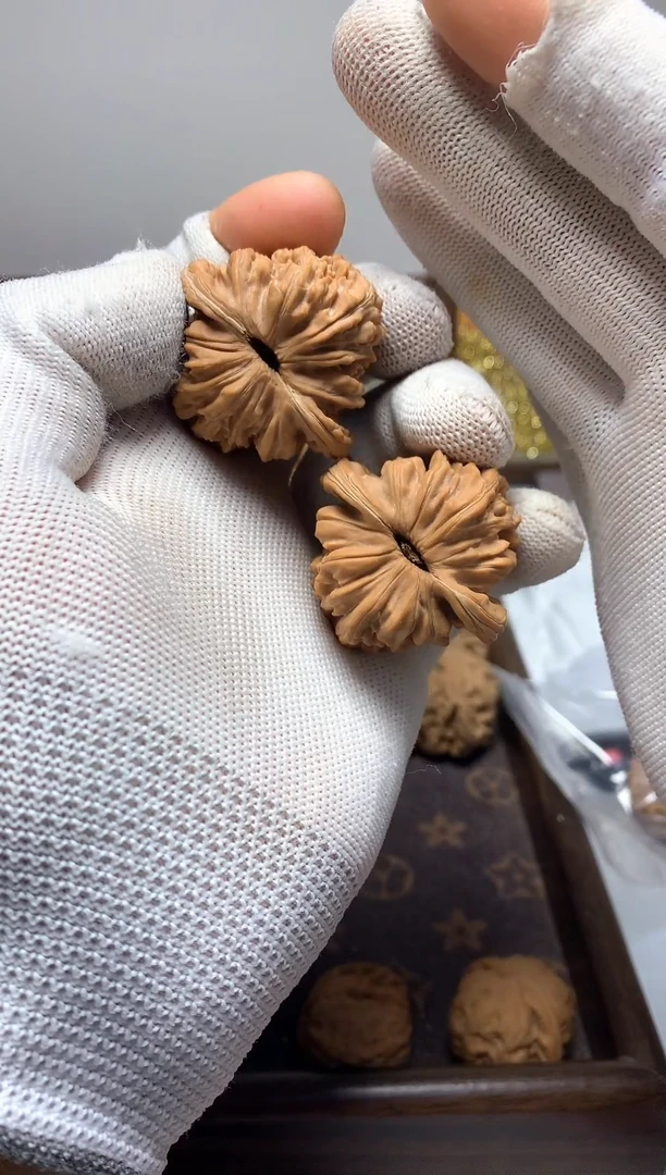 全场买一发二 下单送全品官帽 四座楼