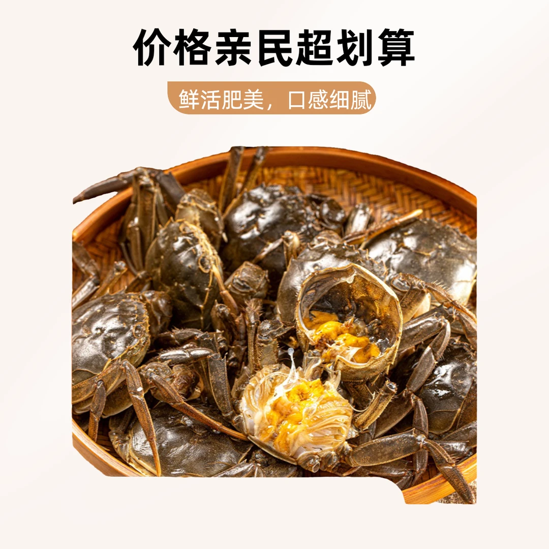 【活蟹】江苏大闸蟹10只公蟹1.0-1.3两同城小时达