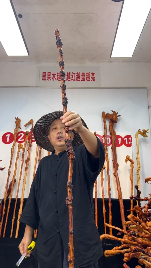 黑果木其他黑果木333