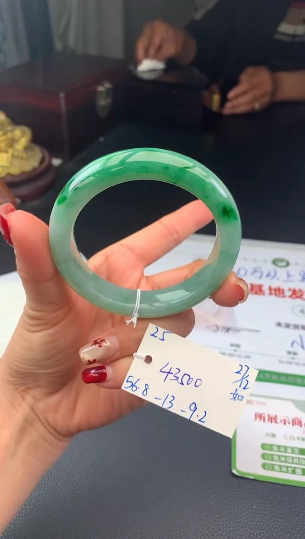 未镶嵌手镯翡翠假一赔三   手镯